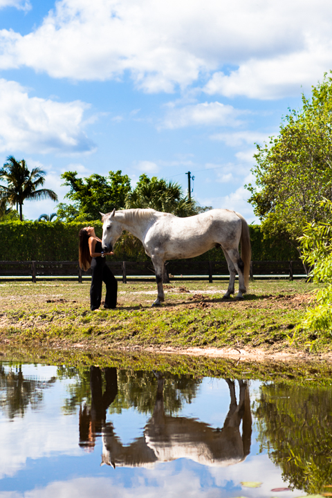 A horse stands in a pasture reflected in a still pond.