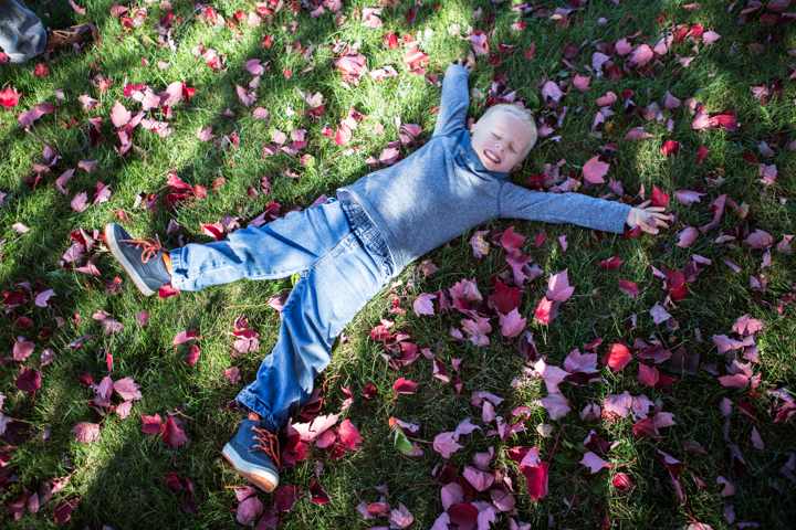 A child lies with arms spread among fallen pink flowers.