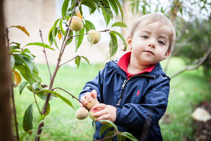 A child holds a toy beside a leafy garden tree.