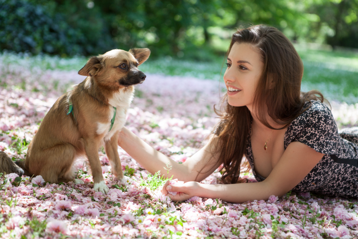 A woman lies beside a small dog among fallen pink flowers.