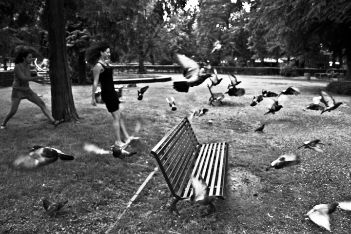 Birds gather beside a park bench in a black-and-white photograph.