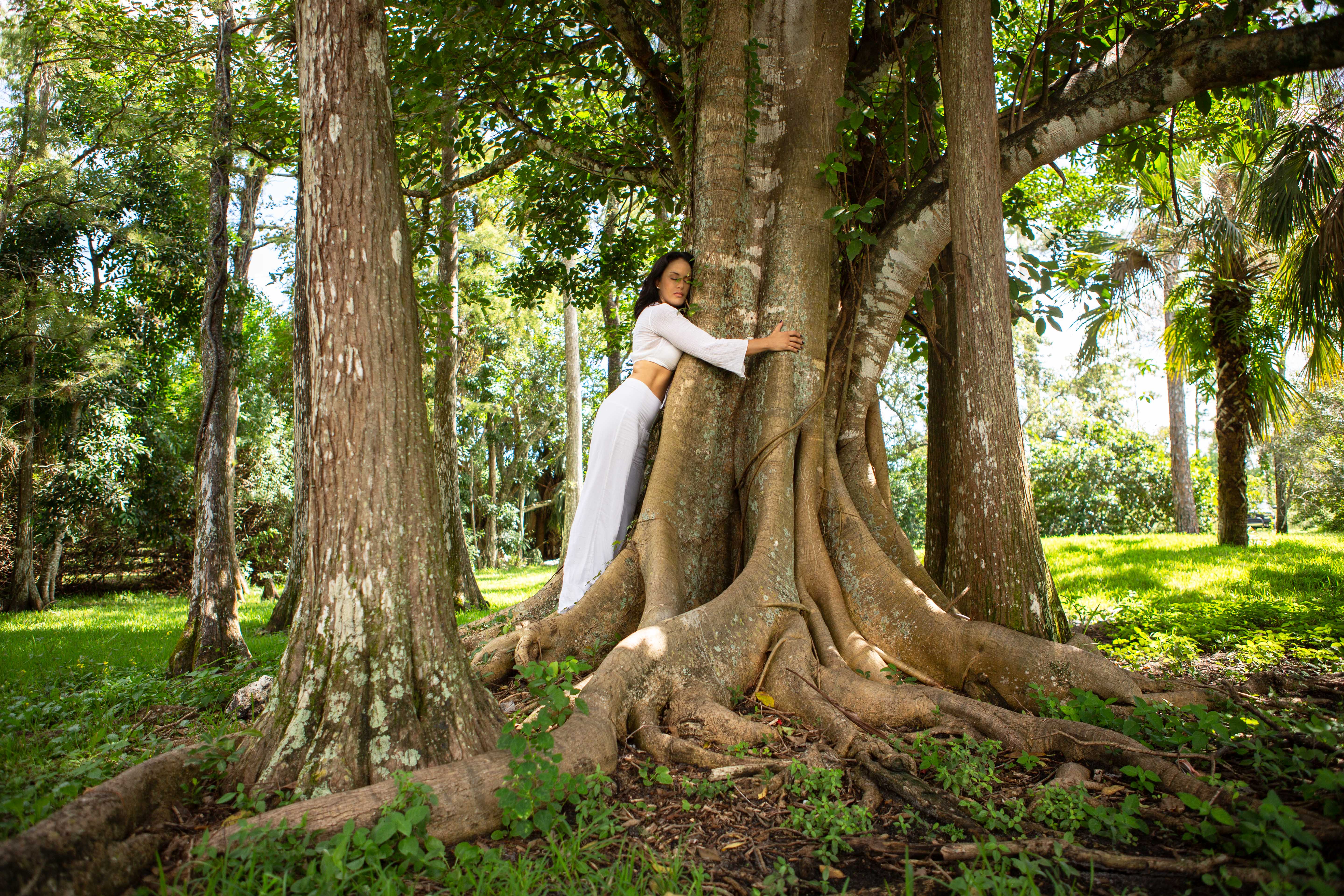 A woman wraps her arms around a large tree surrounded by greenery and exposed roots.